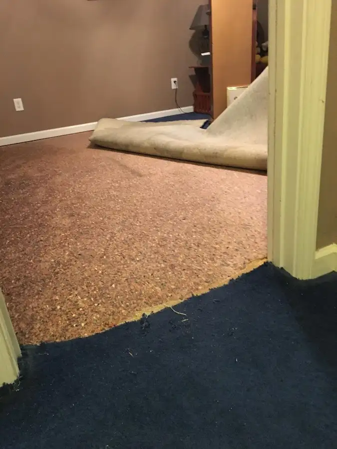 Carpet pad removal revealing water damage during Water Mitigation Services in East Bethel