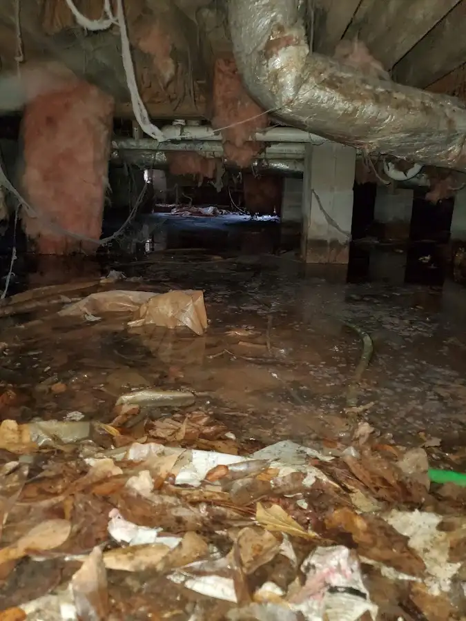 Crawl space flood assessment for Leak Detection & Repair in East Bethel