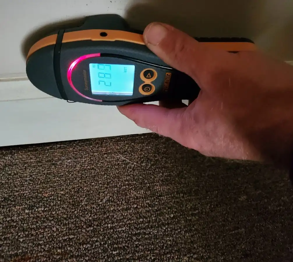 Moisture detection at baseboard during Sewage Cleanup & Sanitation in East Bethel